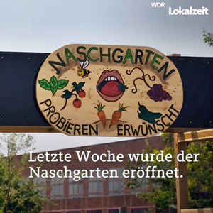 WDR-Lokalzeitruhr Naschgarten